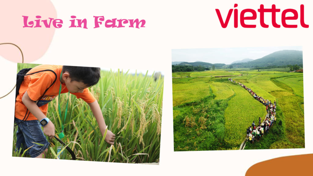 live-in-farm-san-choi-moi-yes-nghia-cho-tre-em-viettel-privilege-1